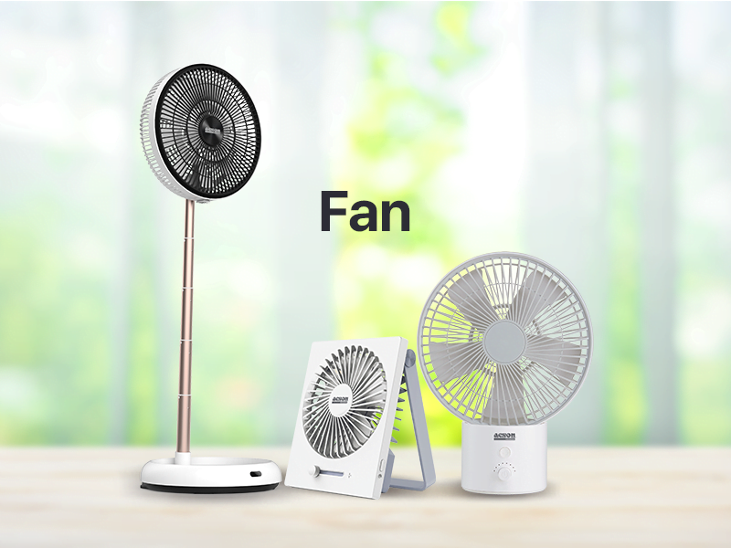 Fan