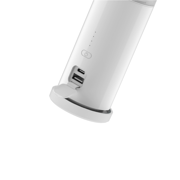 Handheld Garment Iron