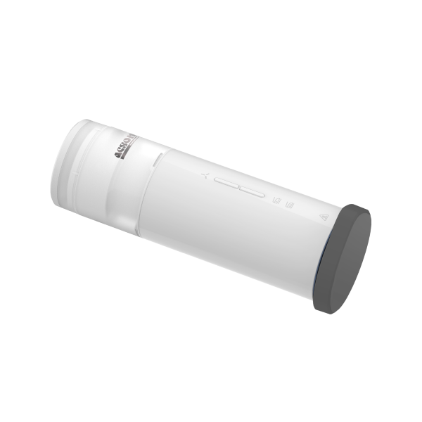 Handheld Garment Iron